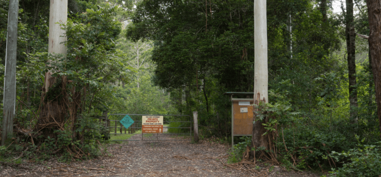 Screen Shot 2017-03-25 at 1.37.36 PM